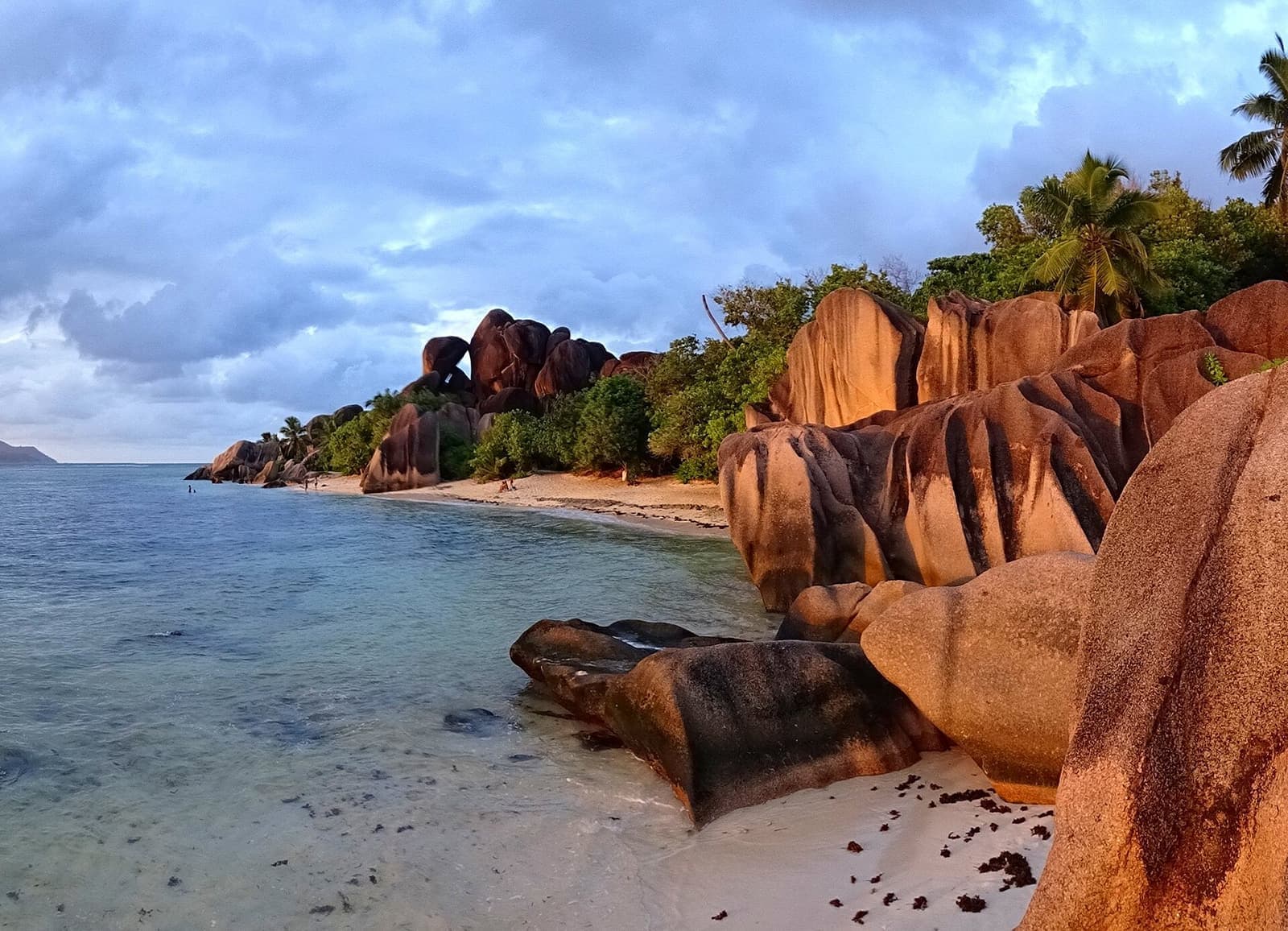 Granite boulders on a palm-fringed Seychelles beach