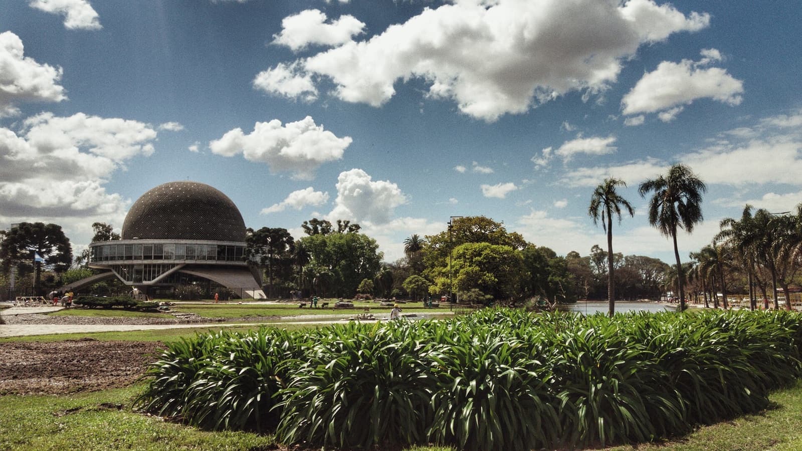 Buenos Aires skyline seen across the ecological reserve