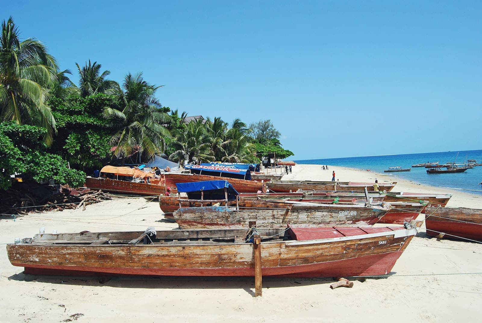 Wooden dhow boats on a shallow beach in Zanzibar